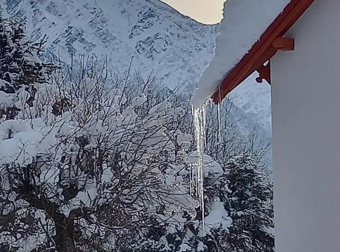 Daire Avec Terrasse *