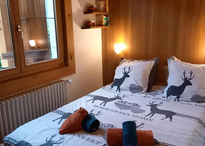 Apartment Avec Terrasse *