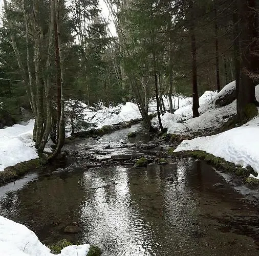 Avec Terrasse Apartment