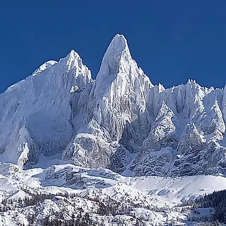Avec Terrasse Appartement